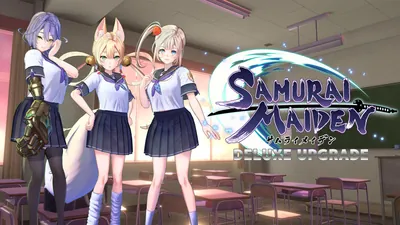 SAMURAI MAIDEN -サムライメイデン- デラックスアップグレードセットのパッケージ画像