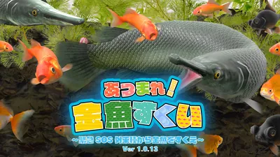 あつまれ！金魚すくいのパッケージ画像