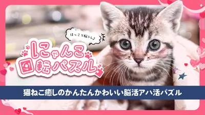 ほっこり脳トレ にゃんこ回転パズルー猫ねこ癒しのかんたんかわいい脳活アハ活パズルーのパッケージ画像