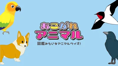 あこがれアニマルー図鑑みたいなアニマルクイズ！ーのパッケージ画像