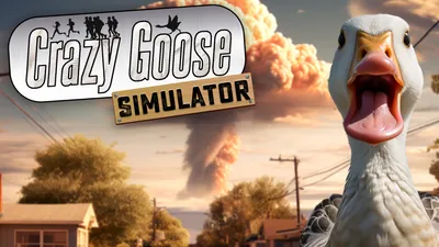Crazy Goose Simulatorのパッケージ画像